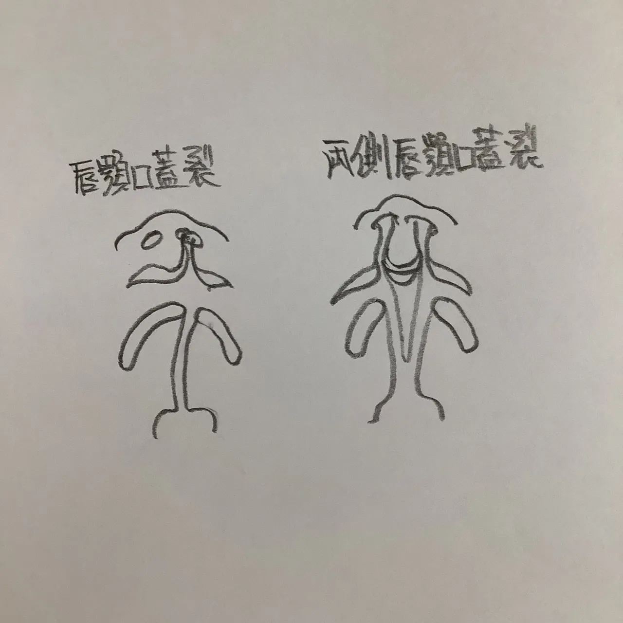 こんにちは。